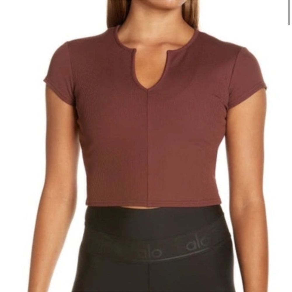 Alo Savvy Short Sleeve Rib Crop Top In Cherry Cola Size XS